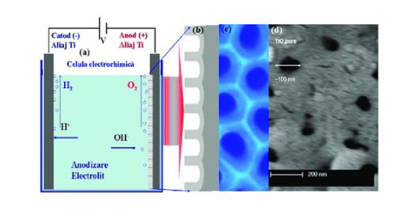 Schematic diagram of titanium oxidation process