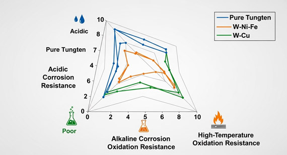 Comparison of chemical stability and corrosion resistance of pure tungsten and tungsten alloys