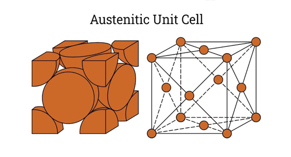 Austenite stainless steel microstructure